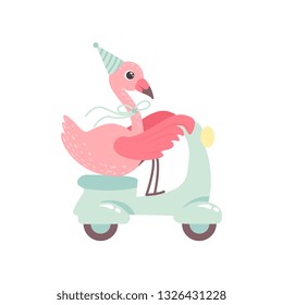 Cute Flamingo Riding Scooter Wearing Party Hat, Beautiful Exotic Bird Character Vector Illustration