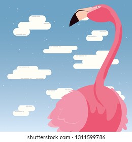 cute flamingo sky