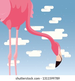 cute flamingo sky