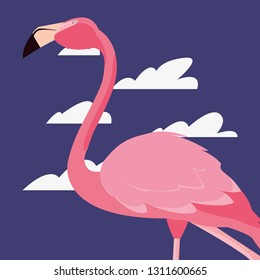 cute flamingo sky