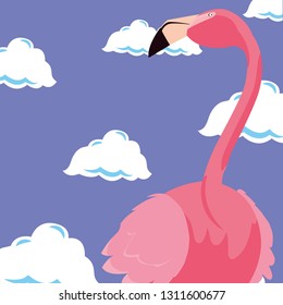 cute flamingo sky