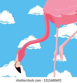 cute flamingo sky