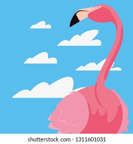 cute flamingo sky