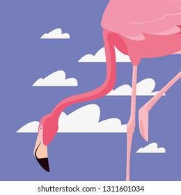 cute flamingo sky
