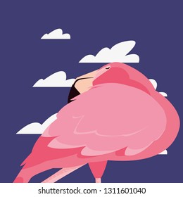 cute flamingo sky
