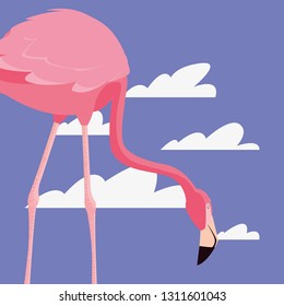 cute flamingo sky
