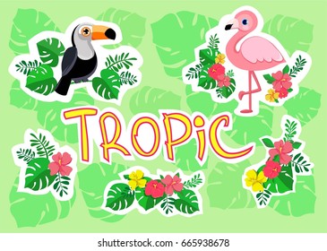 cute flamingo and toucan, tropical flowers and leaves vector illustration 