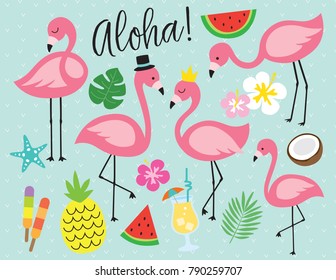 Cute flamingo with tropical summer vector illustration graphic elements such as pineapple, watermelon, hibiscus, coconut, pina colada, etc.