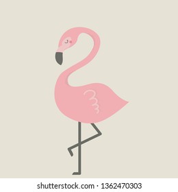 Cute flamingo vector