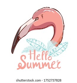 Cute flamingo, vector illustration, summer print design.