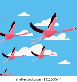 cute flamingos flying