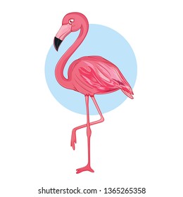cute flamingos with pink feathers