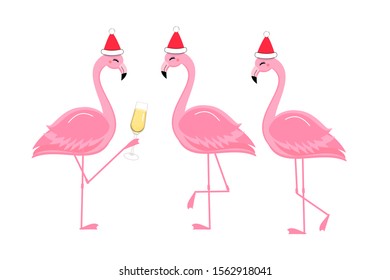 Cute  flamingos wearing hats isolated on white background vector illustration. funny cartoon character.