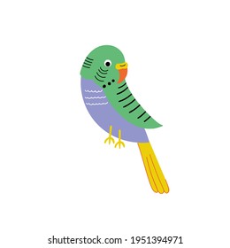 Cute flat budgerigars. Home Pet Vector bird