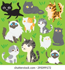 Cute Flat Cartoon Cats icon set Exotic cat, black cat, siamese cat, scottish fold cat, maine coon cat ,persian cat, american short hair, British Short hair, Japanese Bobtail on field of grass