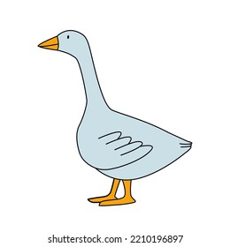 Cute flat cartoon goose. Vector illustration isolated on white background. Farm animal for kids
