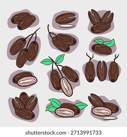 Cute flat color date fruit icon set with organic rounded backgrounds. Friendly and playful vector illustration suitable for social media, Ramadan design, and food branding