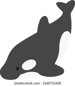 Cute flat color Killer Whale
