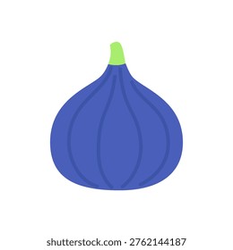 Cute flat design blue purple fig fruit vector illustration