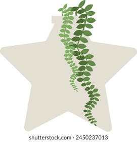 cute flat flower plant in an unusual shaped pot on the white background