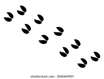 505 Elk hoof print Images, Stock Photos & Vectors | Shutterstock