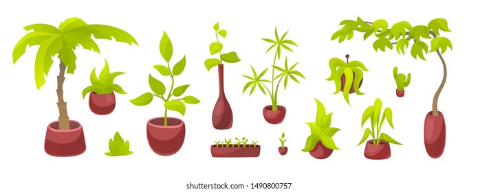 Cute flat house plant, big and small, cactus, palm, house tree. Vector set of home garden objects isolated on white