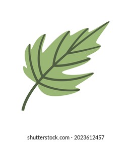 Cute flat icon of green fallen leaves. Autumn item, object. Decorative element, clipart for design of greeting cards, advertising banners and flyers, e-mails. Festive decor for Thanksgiving day.