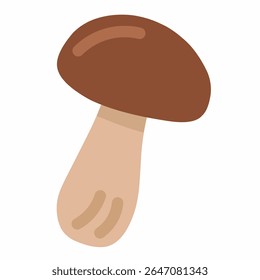 Cute flat illustration of wild mushrooms in cozy tones, great for nature, forest, and autumn themes.