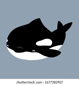 Cute flat killer whale drawing. Adorable little cartoon orca vector illustration. Childish rare animal wild ocean concept