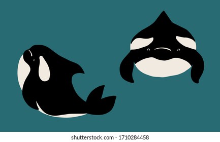 Cute flat killer whale drawing. Adorable little cartoon orca vector illustration. Childish rare animal wild ocean concept with lettering: I must live in the ocean