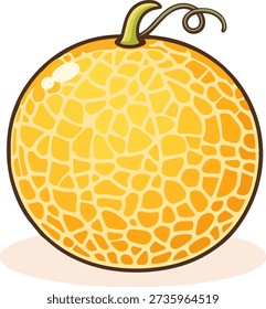 Cute flat melon fruit vector illustration isolated on white background.