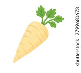 Cute flat parsnip with green leaves, isolated vegetable clipart for healthy food design.