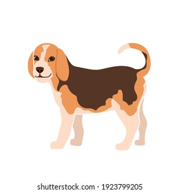 Cute flat puppy. Portrait of pretty little dog. Vector illustration isolated on white background.