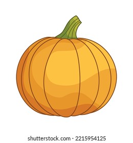 Cute flat style pumpkin. Oval shape. Vegetable illustration for farm market menu. Healthy food design. Autumn illustration. Clipart element for design for Thanksgiving, Halloween, Harvest Festival.