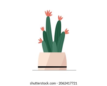 Cute flat vector cactus in beige modern flowerpot illustration. Modern cartoon mini cacti plant in trendy pot icon for logo, print, web decoration design. Cozy home flower vector graphic element.