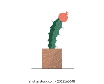 Cute flat vector cactus in brown linear flowerpot illustration. Modern cartoon mini cacti plant in trendy pot icon for logo, print, web decoration design. Cozy home flower vector graphic element.
