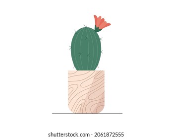 Cute flat vector cactus with flower in beige flowerpot illustration. Modern cartoon mini cacti plant in trendy pot icon for logo, print, web decoration design. Cozy home flower vector graphic element.