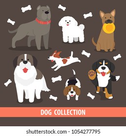 cute flat vector character design dog breed collection,Pitbull terrier,Puddle,Beagle,St Bernard,jack Russell Terrier,Bernese Mountain Dog with bone object