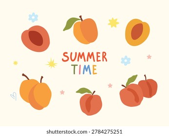 Cute flat vector illustration of ripe apricots and apricot halves arranged around colorful hand lettering Summer Time. Minimal seasonal fruit collection for posters, stickers, food packaging, recipe cards, menus, and summer design projects.