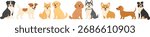 Cute flat vector lineup of popular dog breeds sitting and standing, including jack russell, shiba inu, golden retriever, poodle, husky, corgi, dachshund, border collie, australian shepherd.
