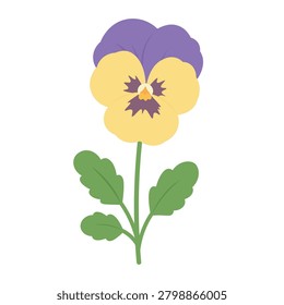 Cute flat vector pansy flower with green leaves isolated on white background.