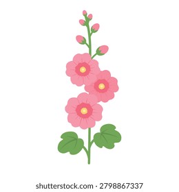 Cute flat vector pink hollyhock flower with green leaves isolated on white background.