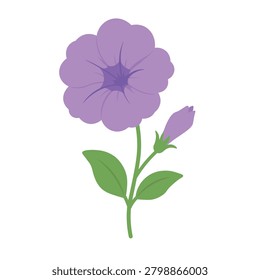 Cute flat vector purple petunia flower with green leaves isolated on white background.