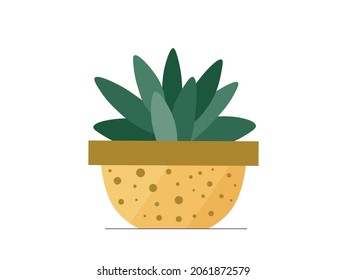 Cute flat vector succulent in yellow flowerpot illustration. Modern cartoon mini succulent plant in trendy pot icon for logo, print, web decoration design. Cozy home flower vector graphic element.