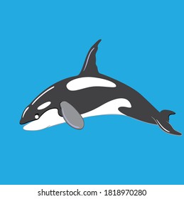 cute flat whale. cartoon vector illustration