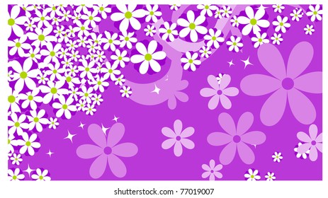 Cute floral background, Flower background, daisy