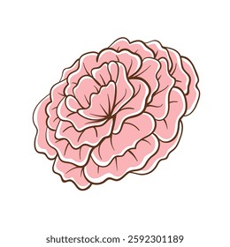 Cute floral botanical abstract flowers and plants. Boho doodle vector illustrations.
