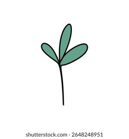 cute floral elements with soft colors and outlines. flowers, leaves, stems