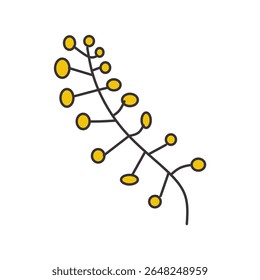 cute floral elements with soft colors and outlines. flowers, leaves, stems