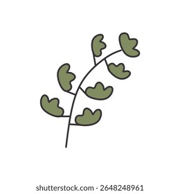 cute floral elements with soft colors and outlines. flowers, leaves, stems